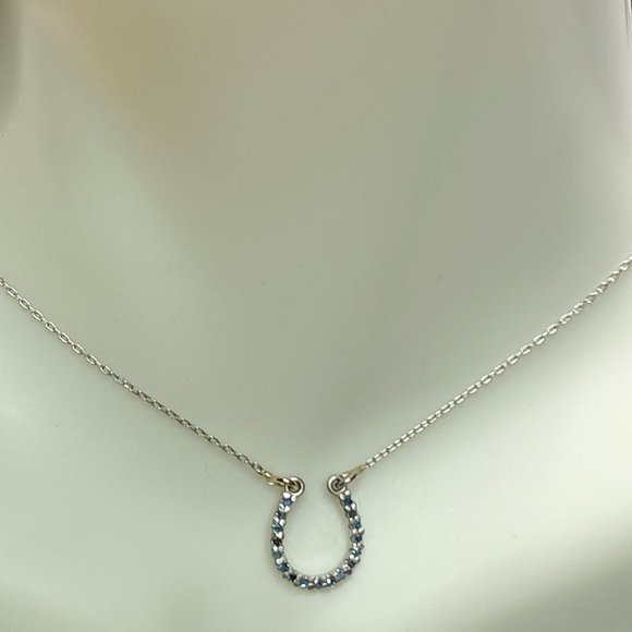 Platinum 950 0.08ct Fancy Blue Diamond Horseshoe pendant necklace 16.5" 1.8gm